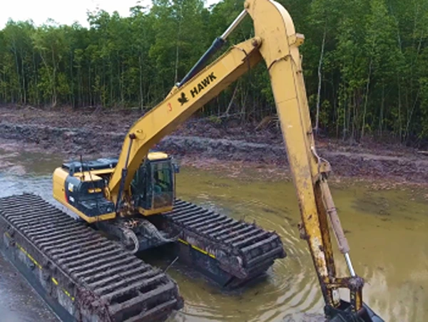 Wetland Restoration
